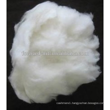 Raw White Good Fineness Cashmere Fiber Factory